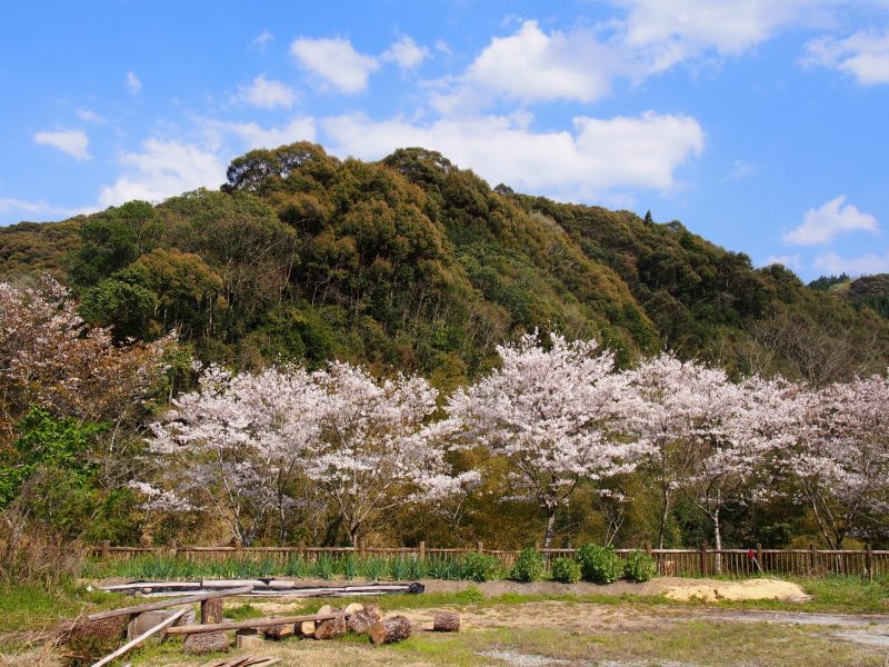 西門川エリア 桜と風情ある景色